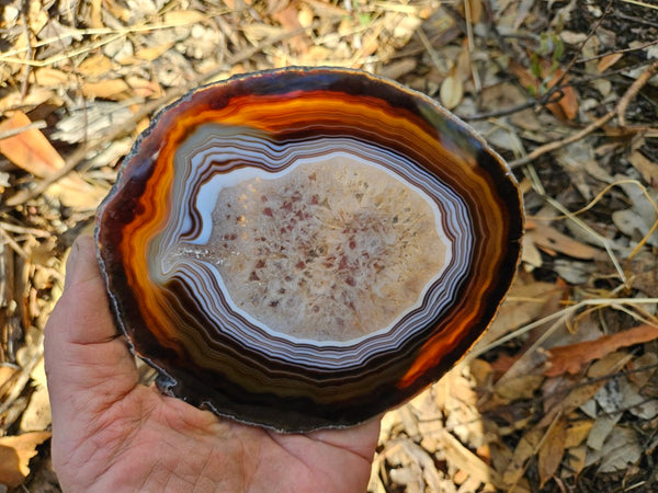 Polished Brazilian Agate . BA111