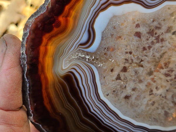 Polished Brazilian Agate . BA111