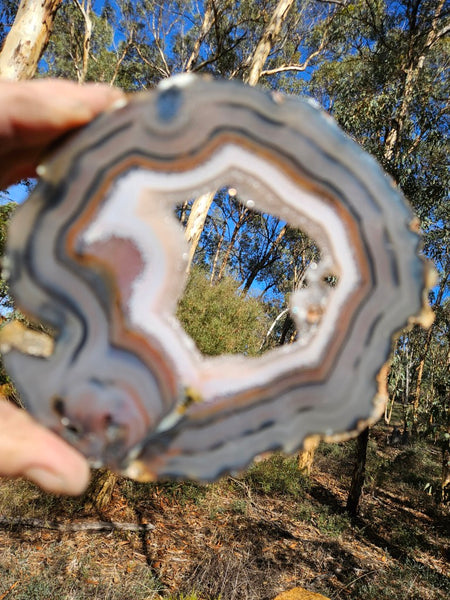 Polished Brazilian Agate . BA108.
