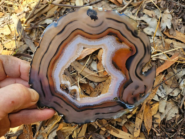 Polished Brazilian Agate . BA108.