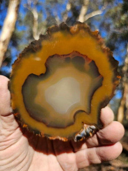 Polished Brazilian Agate . BA105.