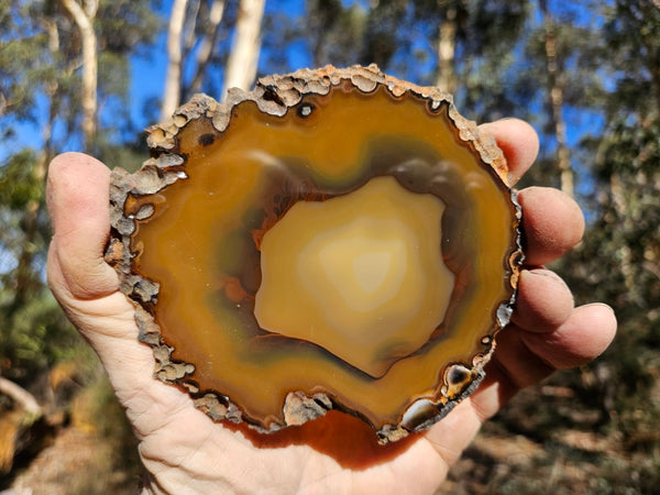 Polished Brazilian Agate . BA105.