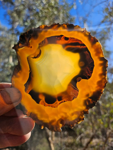 Polished Brazilian Agate . BA105.