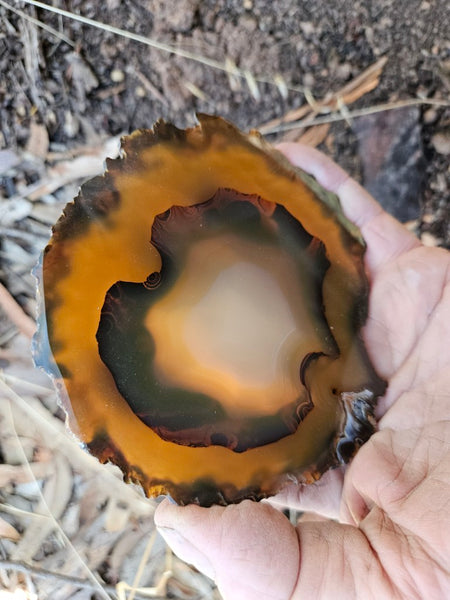 Polished Brazilian Agate . BA105.