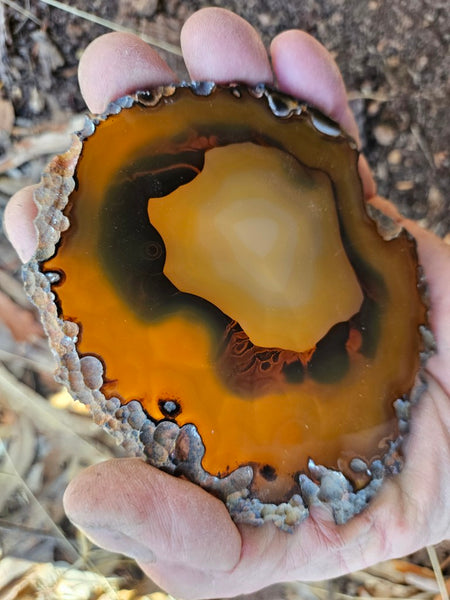 Polished Brazilian Agate . BA105.