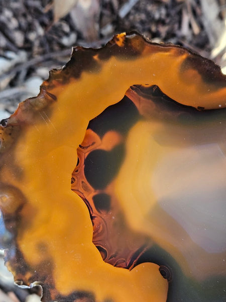 Polished Brazilian Agate . BA105.