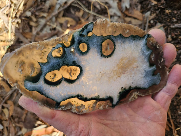 Polished Brazilian Agate . BA103.