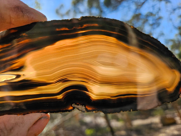 Polished Brazilian Agate . BA104.