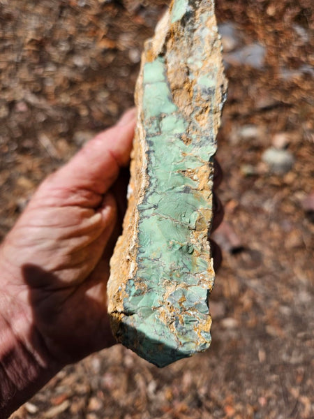 Variscite rough. VR616