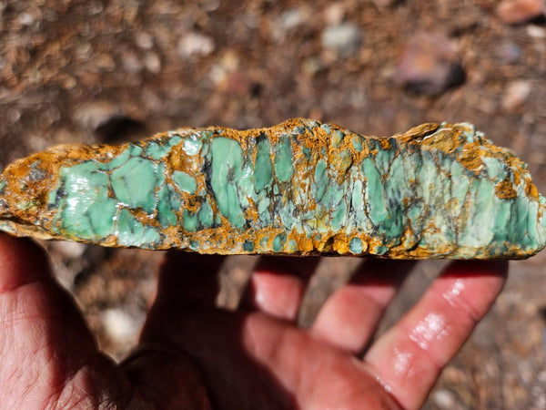 Variscite rough. VR616