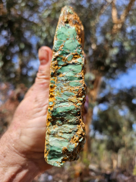 Variscite rough. VR616