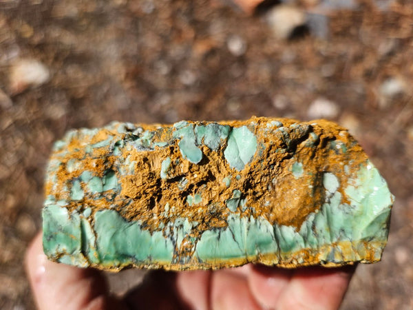 Variscite rough. VR616