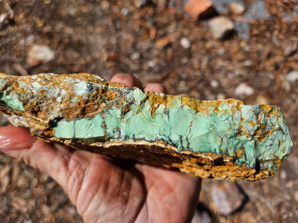Variscite rough. VR616