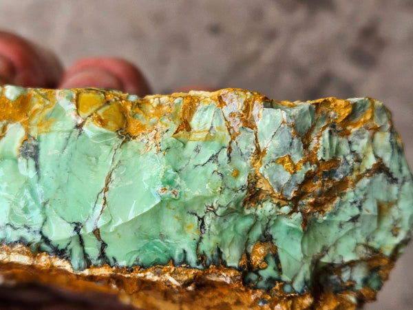 Variscite rough. VR616