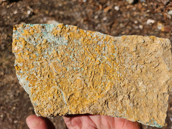 Variscite rough. VR619
