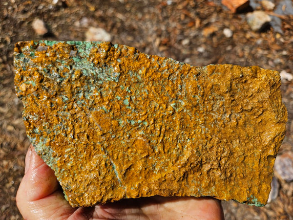 Variscite rough. VR619