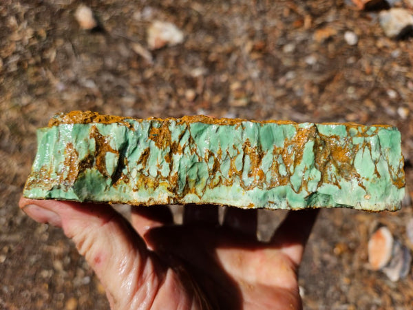 Variscite rough. VR619