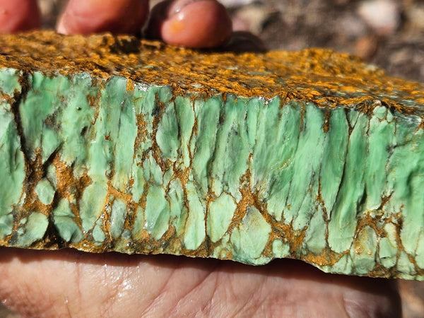 Variscite rough. VR619