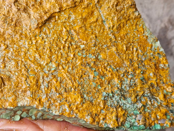 Variscite rough. VR619