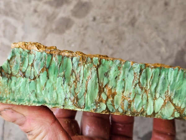 Variscite rough. VR619