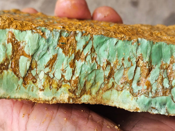 Variscite rough. VR619