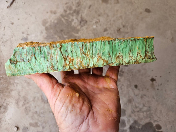 Variscite rough. VR619