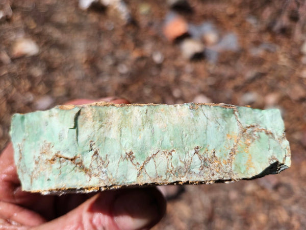 Variscite rough. VR617