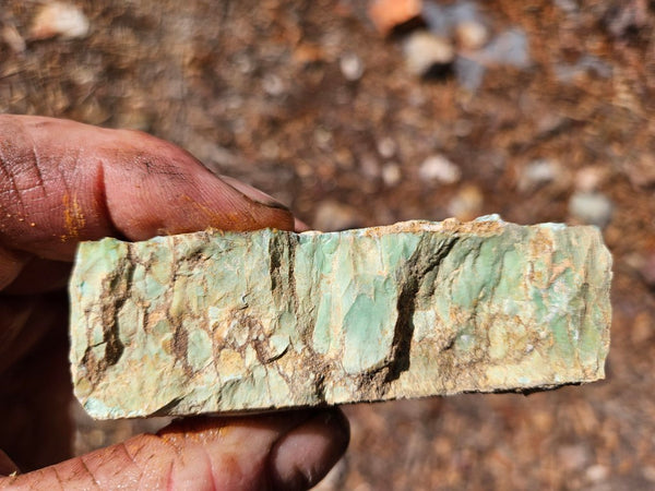 Variscite rough. VR617