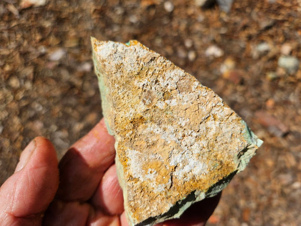 Variscite rough. VR617