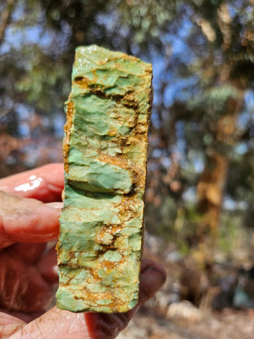 Variscite rough. VR617