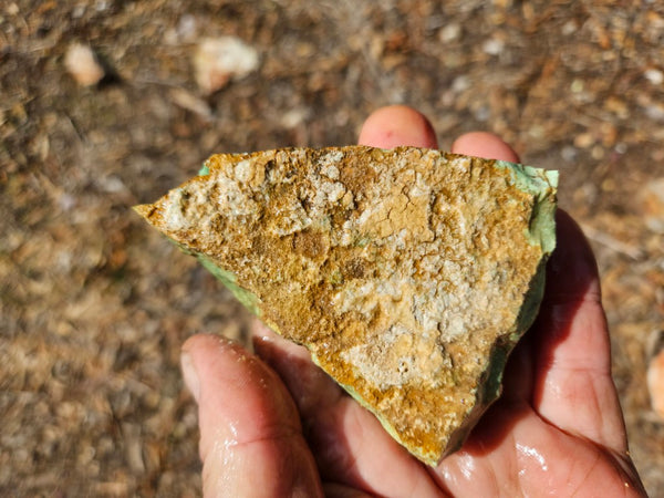 Variscite rough. VR617