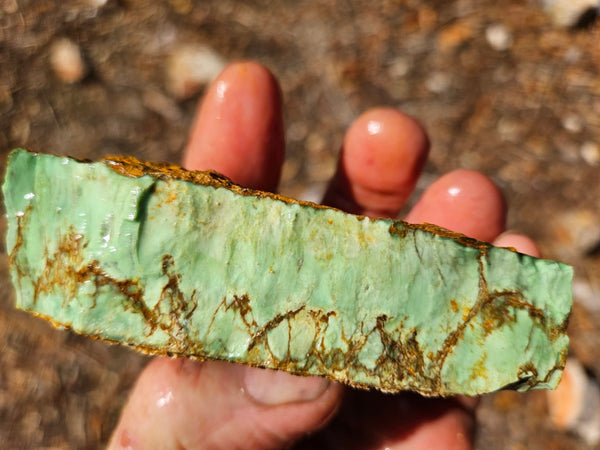 Variscite rough. VR617