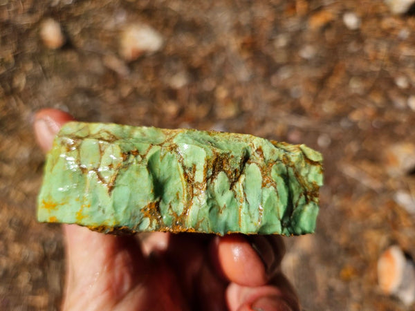 Variscite rough. VR617
