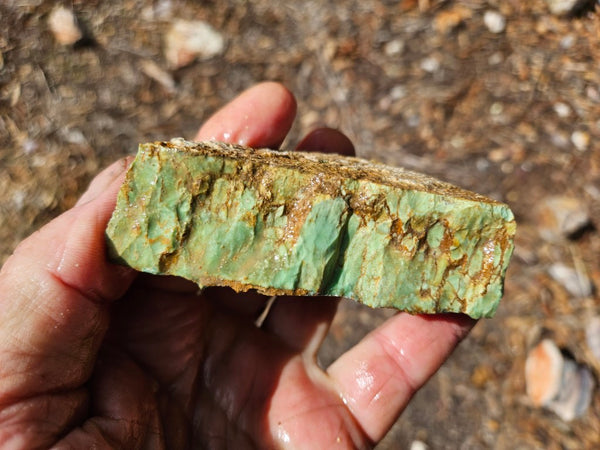 Variscite rough. VR617