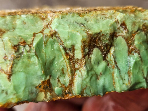 Variscite rough. VR617