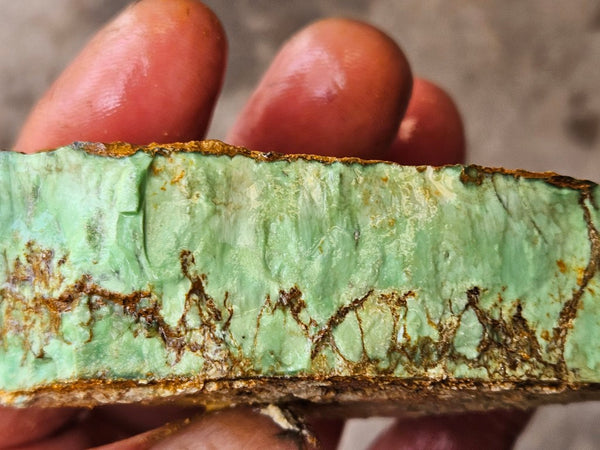 Variscite rough. VR617