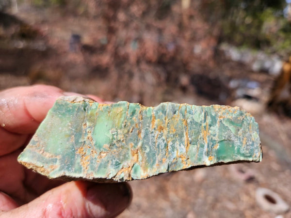 Variscite rough. VR618