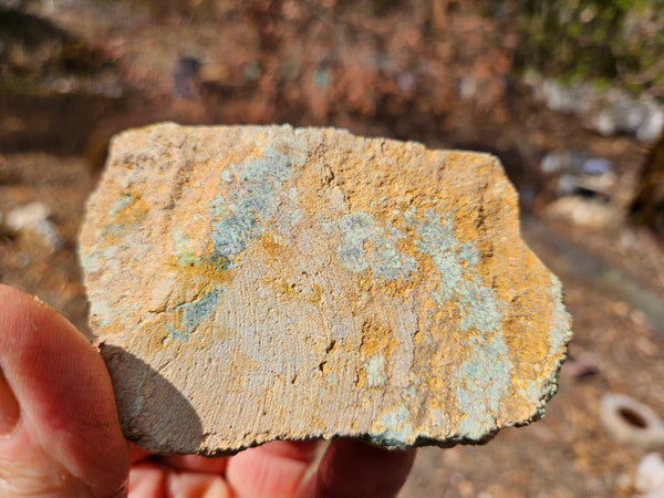 Variscite rough. VR618