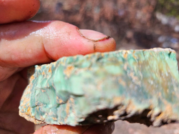Variscite rough. VR618