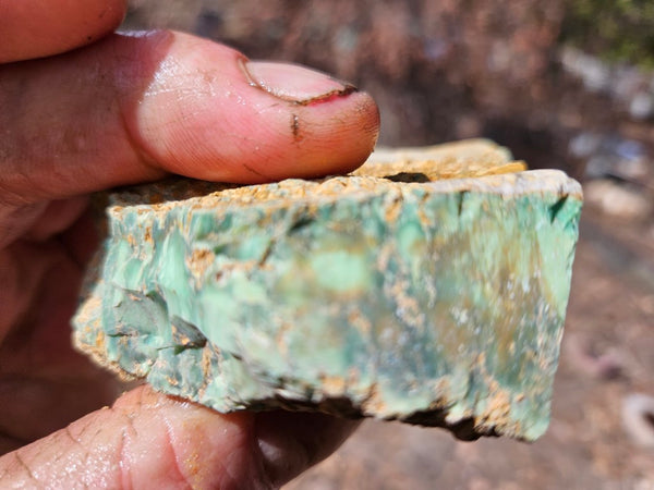 Variscite rough. VR618