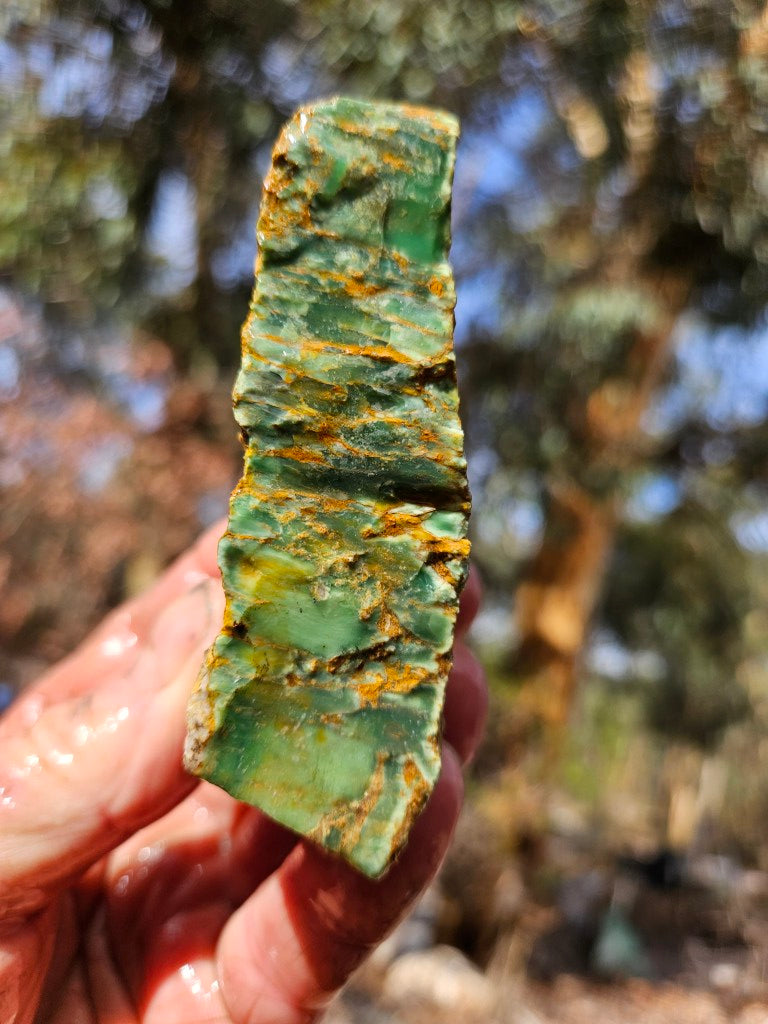 Variscite rough. VR618