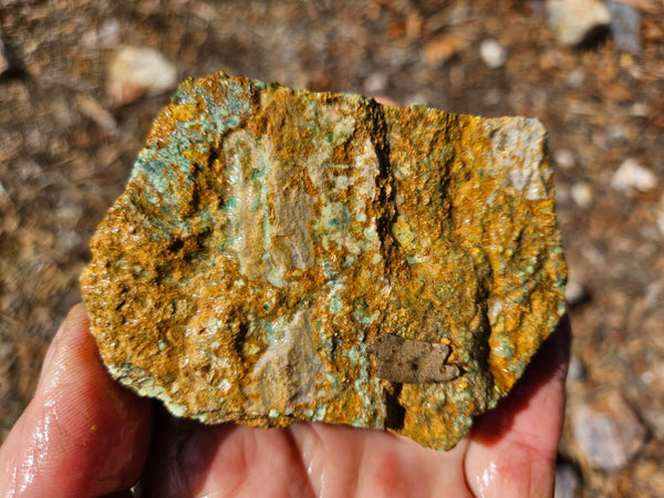 Variscite rough. VR618
