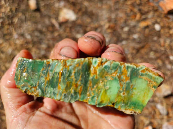 Variscite rough. VR618