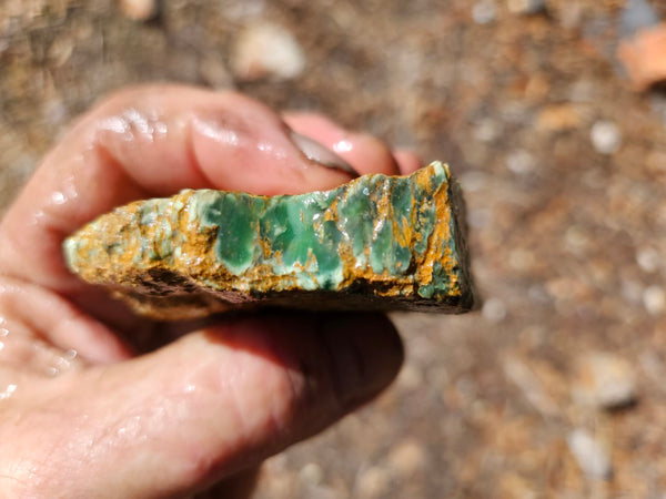 Variscite rough. VR618