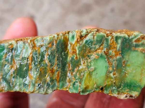 Variscite rough. VR618