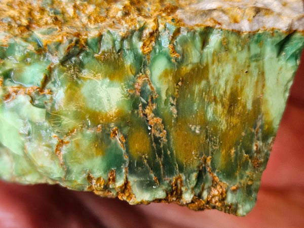Variscite rough. VR618