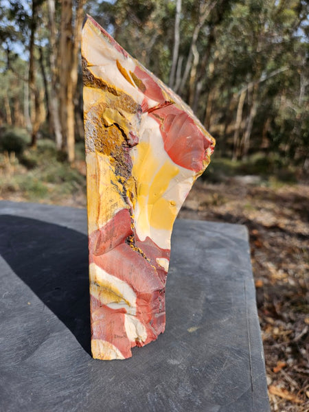 Polished Mookaite display specimen MK589