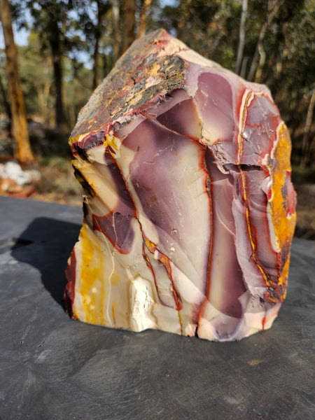 Polished Mookaite display specimen MK589