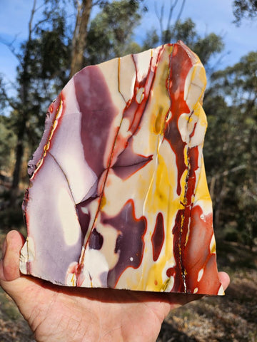 Polished Mookaite display specimen MK589