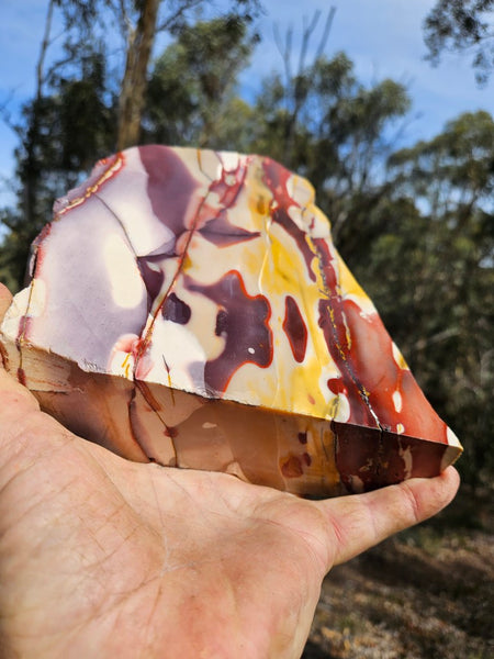 Polished Mookaite display specimen MK589